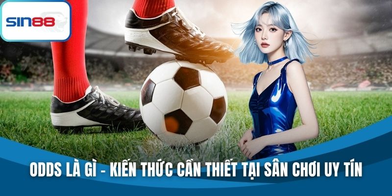 Odds là gì